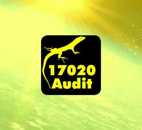 17020 audit